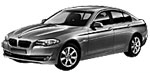BMW F10 P0AF1 Fault Code